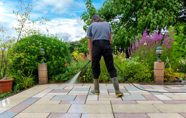 Best Driveway Pressure Washing  in Cerritos, CA